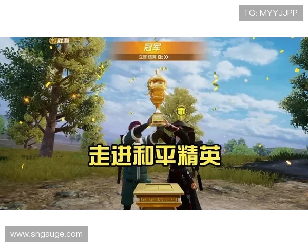 专访李强揭秘和平精英成功背后的策略与创新之路 专访李强揭秘和平精英成功背后的策略与创新之路