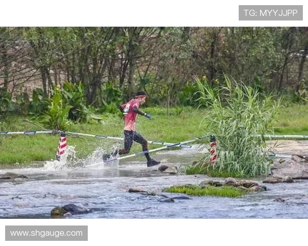 北京极限运动队的转型与创新探索：重塑运动精神与团队未来