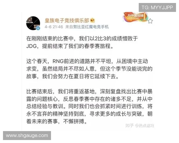 RNG中路表现分析：突破与失误的深度剖析与反思