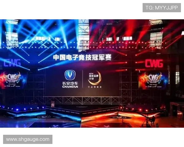 V5战队国际邀请赛背后的奋斗故事与荣耀之路