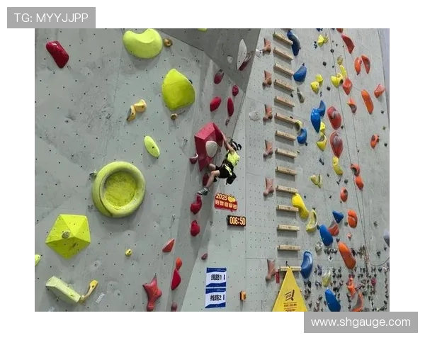 上海攀岩队勇攀高峰极限运动联赛的奋斗与荣耀之路