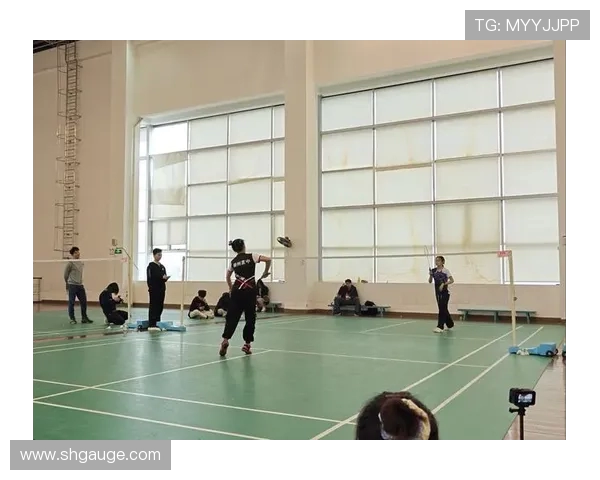 上海羽毛球队整体表现分析：压制与失误的双重影响探讨