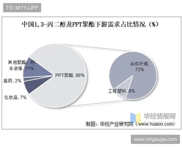 北京羽毛球队技术分析与战术创新的深度探讨与展望