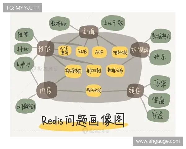 北京网球队包夹战术解析与实战应用探讨