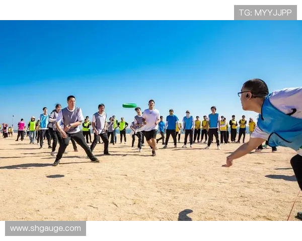 北京飞盘队在极限运动会中的战术分析与表现评估