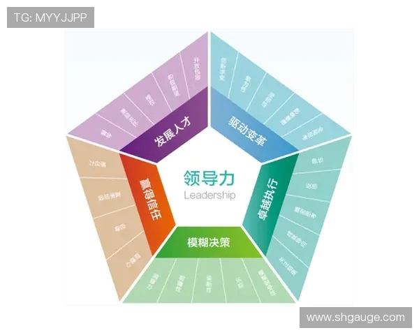 北京足球队心理素质深度对比分析及其对比赛表现的影响探讨