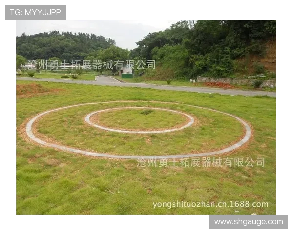 南京极限运动队整体压制体系的战术创新与实践探索