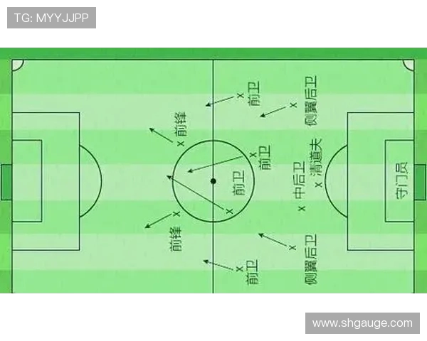 南京足球队的灵活性揭秘：从战术到球员的全面分析与探索