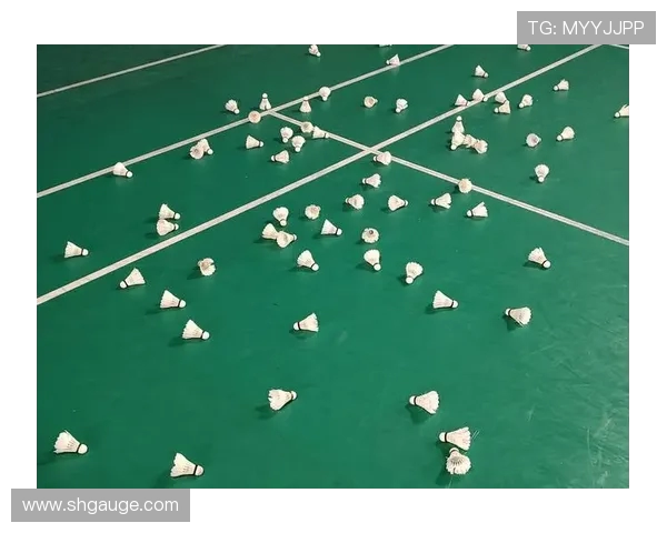 广州羽毛球队技术实力强劲荣登全国羽毛球技术排行榜第九名