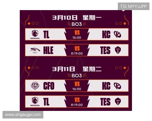 王者荣耀深度解析：揭秘TES战队背后的强大实力与团队合作秘诀