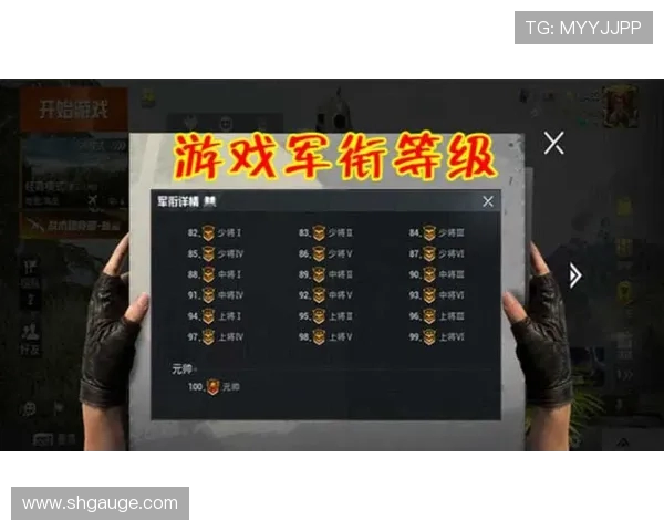 聚焦和平精英V5版本耐力系统的深度解析与玩家体验分享