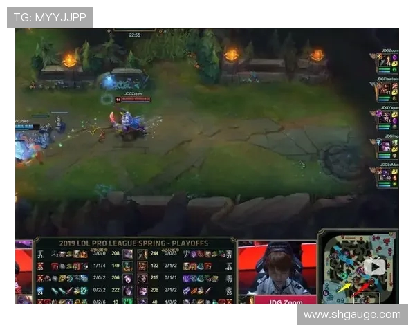 赛后复盘分析：WE与JDG对决中的战术运用与经验总结