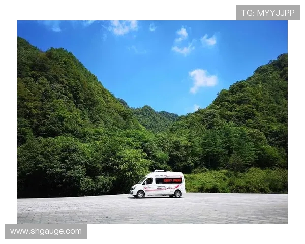 弗拉霍维奇引领新潮流球场上的闪耀之星与未来之希望 弗拉霍维奇引领新潮流球场上的闪耀之星与未来之希望