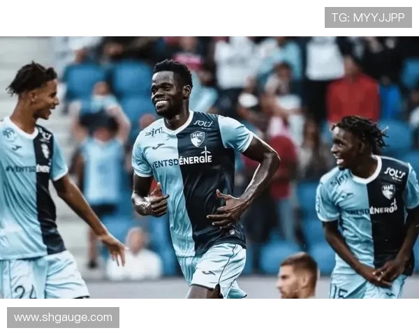 昂热与里尔实力对比分析谁能在法甲赛场占据优势 昂热与里尔实力对比分析谁能在法甲赛场占据优势