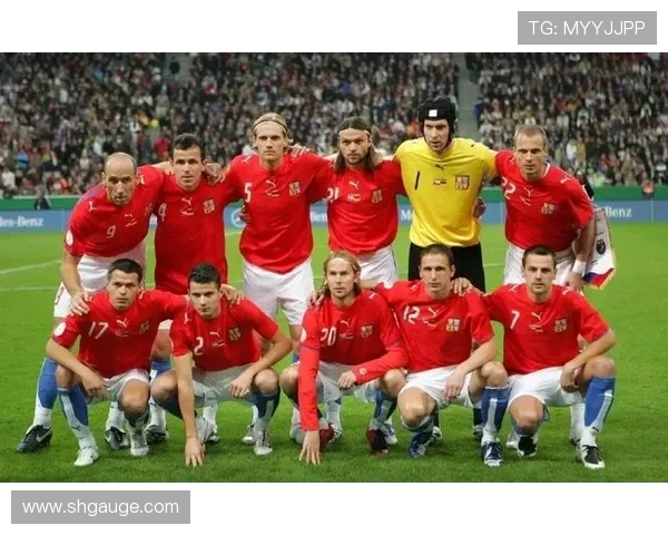 欧洲杯精彩对决丹麦队迎战强敌巴西队全力争胜 欧洲杯精彩对决丹麦队迎战强敌巴西队全力争胜