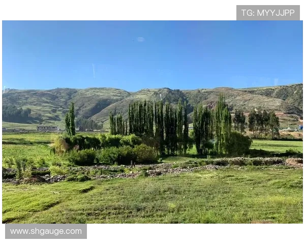 焦泊乔：探索现代科技与传统文化的交融之旅