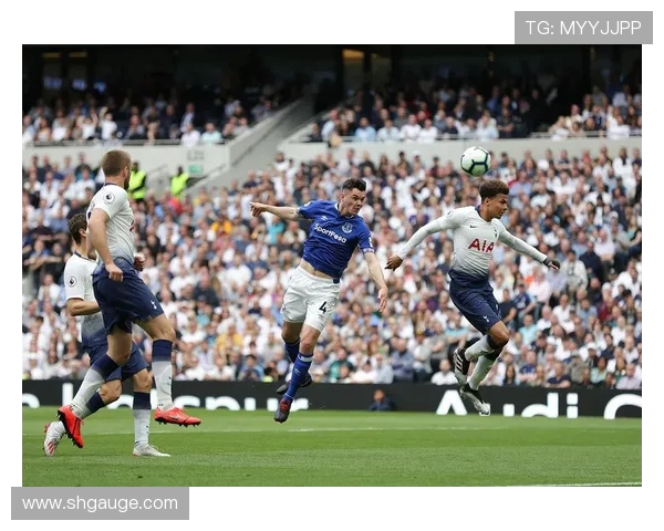 热刺与埃弗顿对阵阵容分析及比赛前瞻探讨 热刺与埃弗顿对阵阵容分析及比赛前瞻探讨