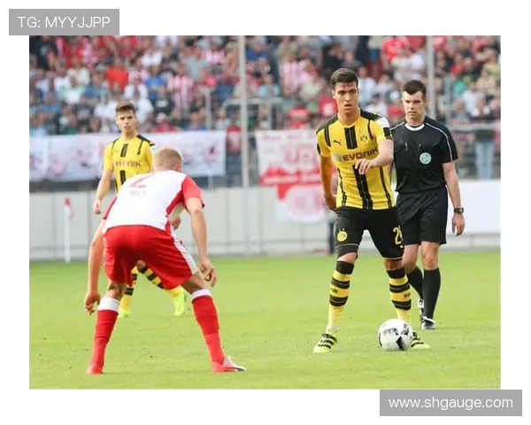 菲尔特与多特比赛前瞻及比分预测分析，谁将赢得这场较量