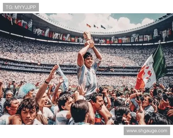 阿根廷与塞尔维亚2006年世界杯经典对决回顾与分析