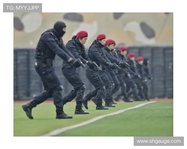 成都排球队战术揭秘：从细节到整体的排球艺术探索