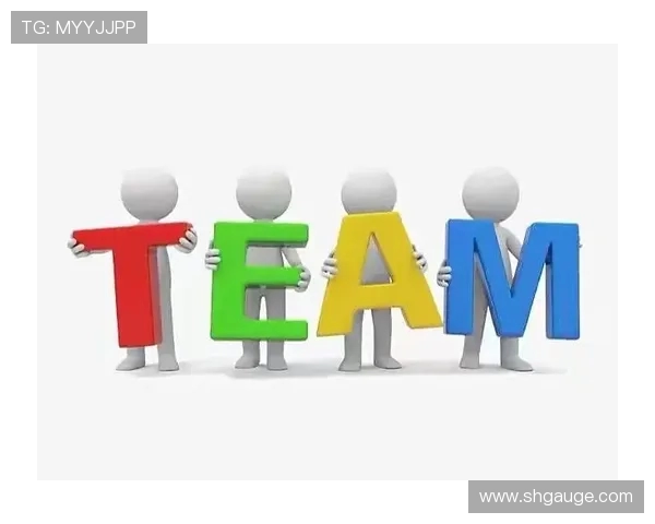 武汉网球队的团队协作精神与成功之路探讨