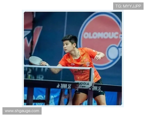 西安乒乓球队的节奏揭秘与训练背后的故事与精神