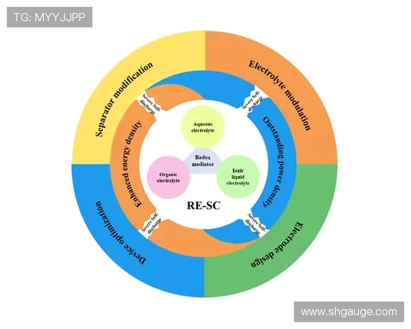 BLG在冠军杯中的强势表现分析与未来展望 BLG在冠军杯中的强势表现分析与未来展望