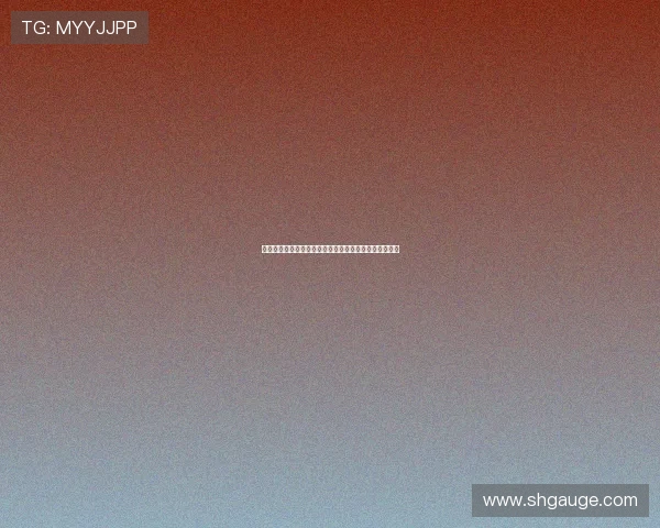 上海飞盘队在马拉松大满贯中的实力展现与精彩表现分析