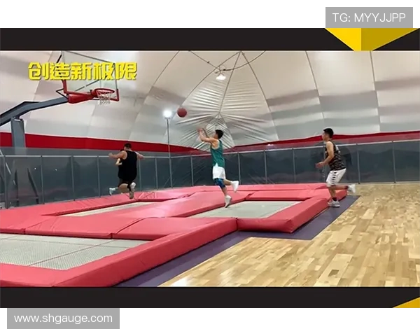 南京极限运动队与深圳极限运动队实力对比赛后分析与总结