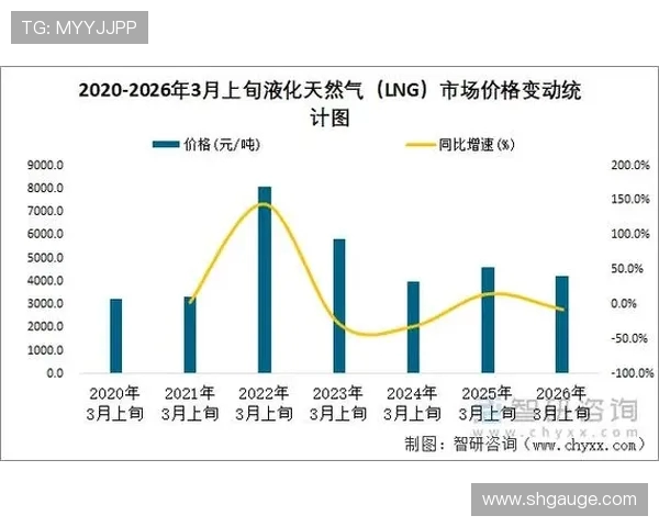 数据分析：液化天然气在市场竞争中的战术表现与策略优化探讨
