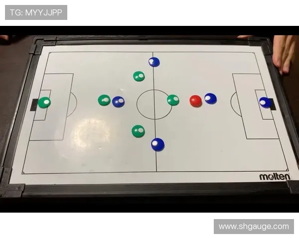 李丽独家揭秘：深入浅出解析足球技巧与战术心得分享