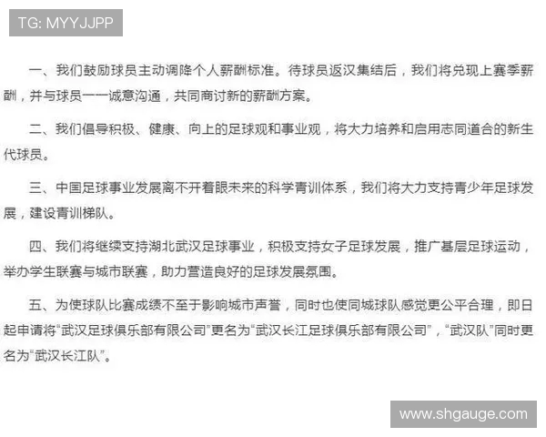 武汉网球队实力分析与未来发展展望探讨