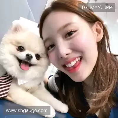 裘渊高